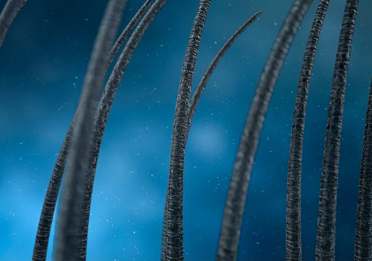 Bodywise Hairgrowth Serum image Bodywise Hairgrowth Serum